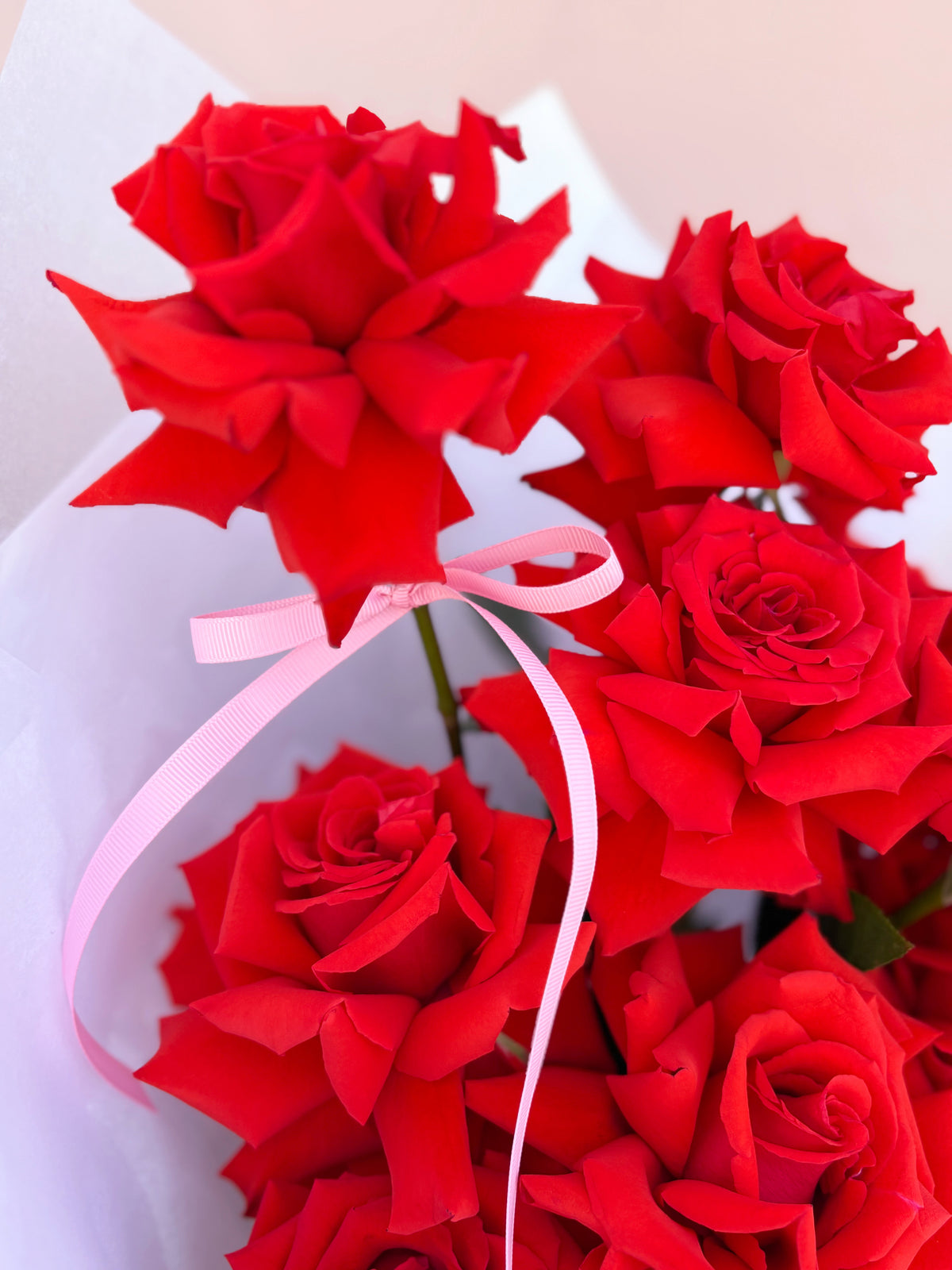 Half Dozen Roses product photo