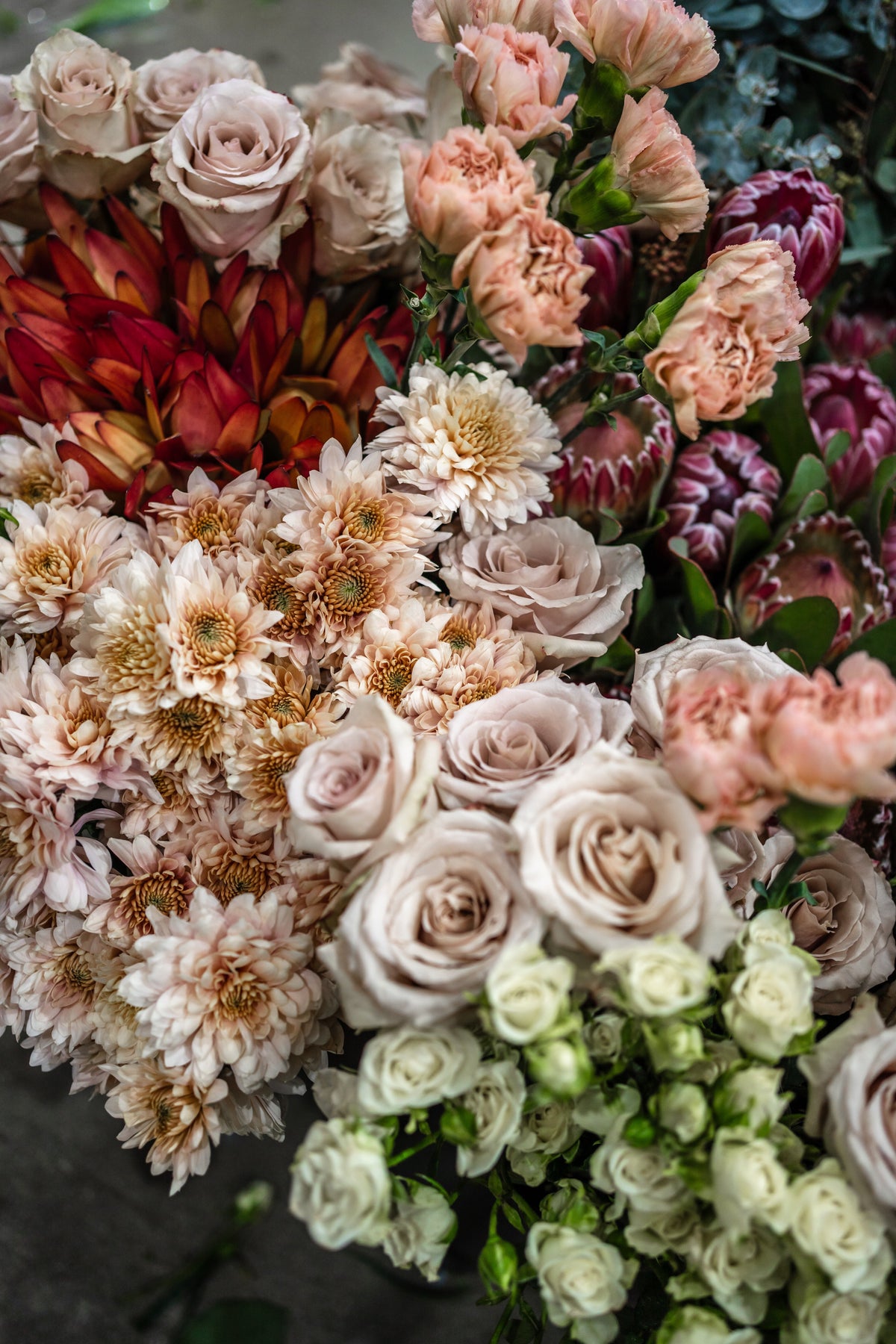 DAILY BLOOMS