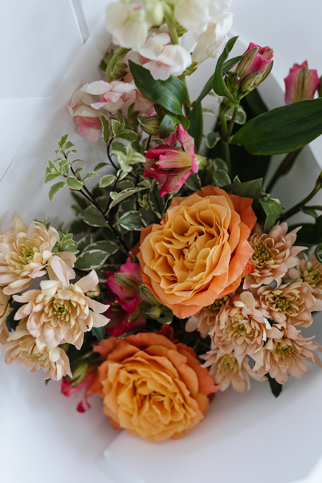 Posie product photo
